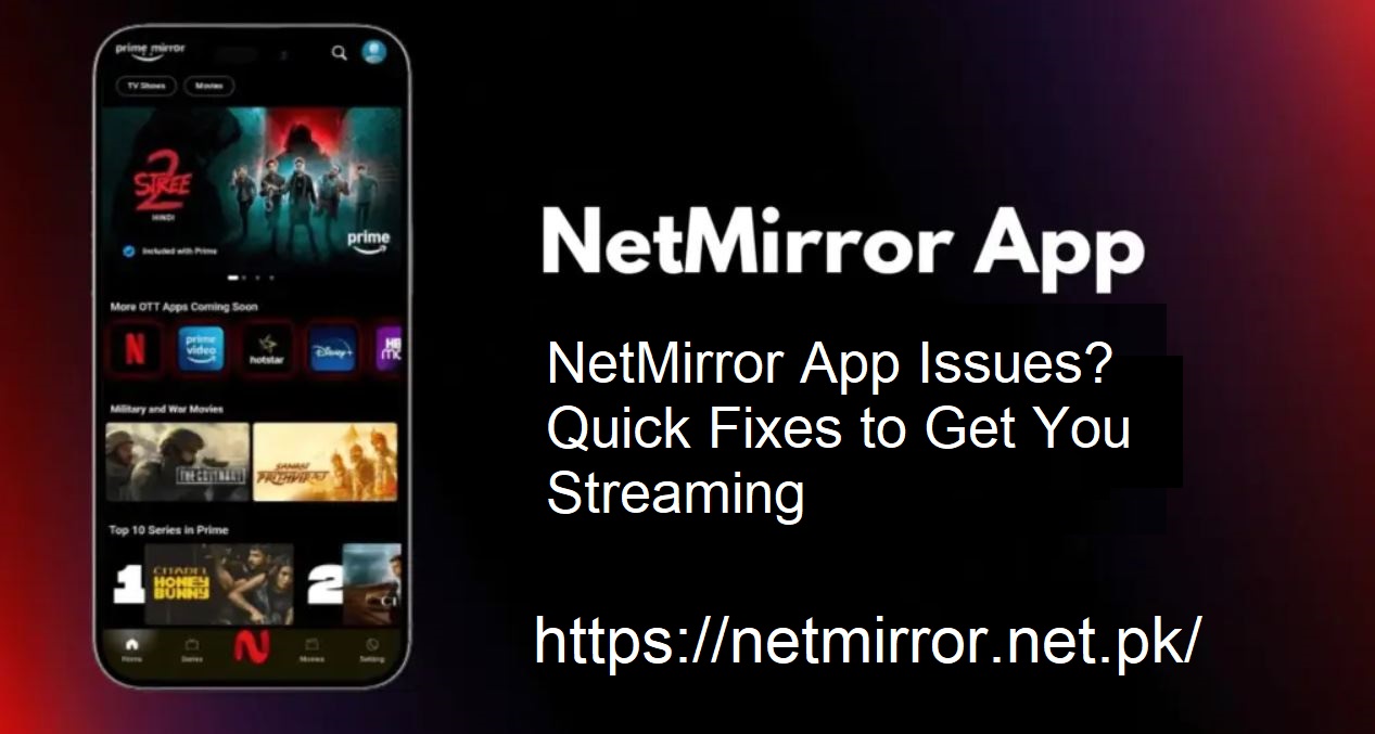 NetMirror App Fix