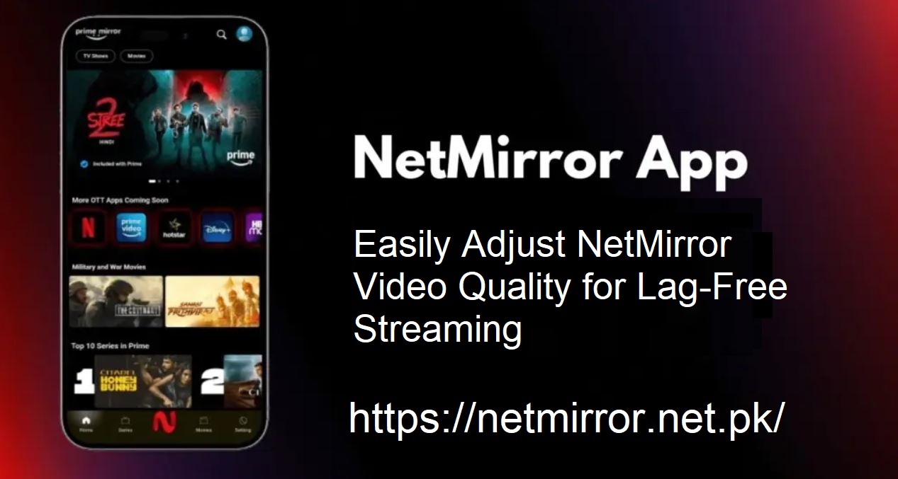 NetMirror Video Quality